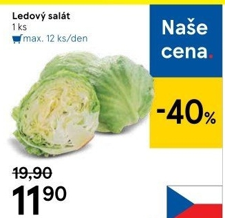 Salát ledový
