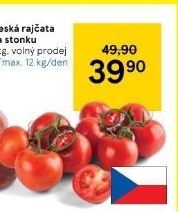 Rajčata keříková