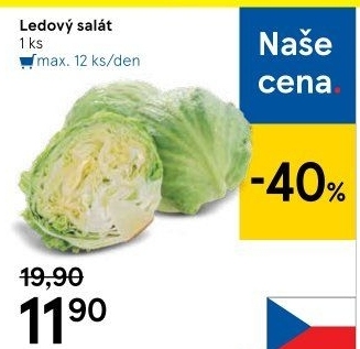 Salát ledový