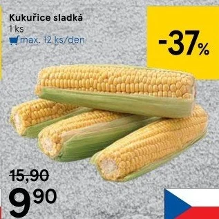 Kukuřice klas