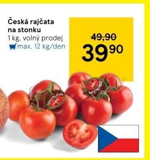 Rajčata keříková