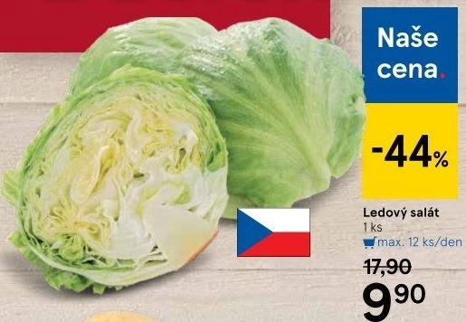 Salát ledový