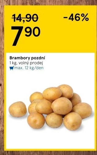 Brambory konzumní pozdní
