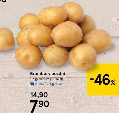 Brambory konzumní pozdní