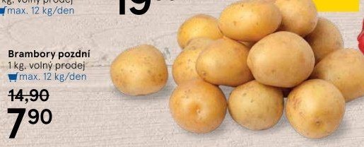 Brambory konzumní pozdní
