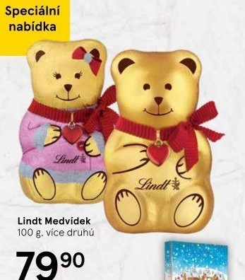 Medvídek čokoládový Lindt