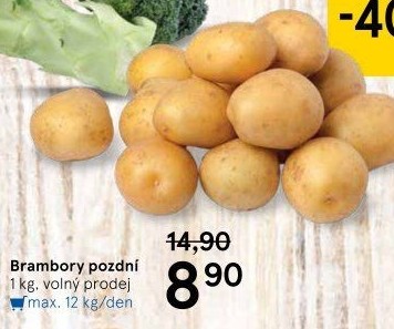 Brambory konzumní pozdní
