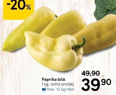 Paprika bílá