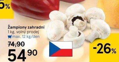 Žampiony zahradní
