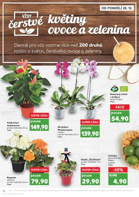 akční leták Kaufland 28.12.2020-3.1.2021