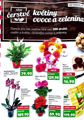 akční leták Kaufland 4.1.2021-12.1.2021