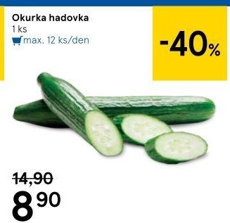 Okurka hadovka