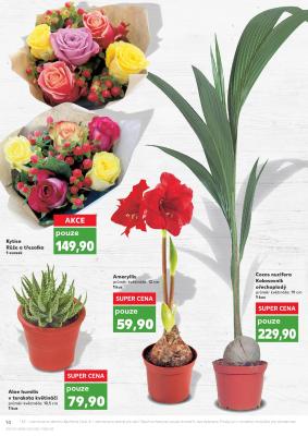 akční leták Kaufland 27.1.2021-2.2.2021