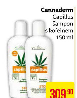 Šampon Capillus Cannaderm