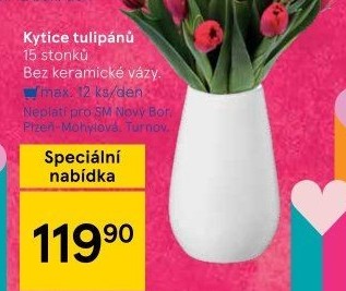 Řezané tulipány