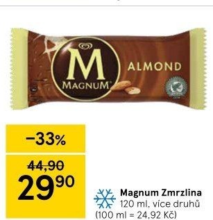 Nanuk Magnum Algida