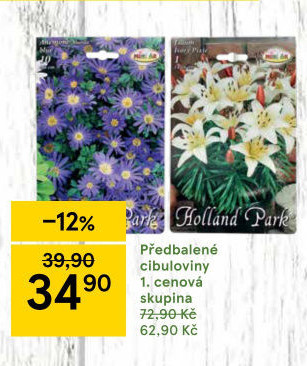 Cibulky květin - cibuloviny