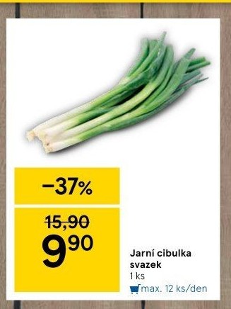 Jarní cibule svazek