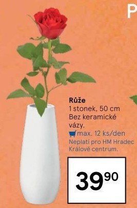 Řezané růže