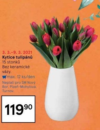 Řezané tulipány