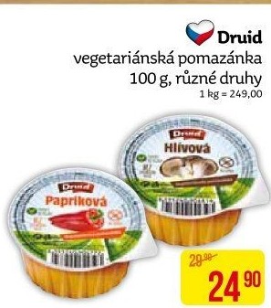 Vegetariánská pomazánka Druid
