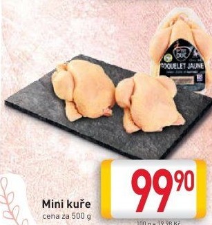 Mini kuřátko P'