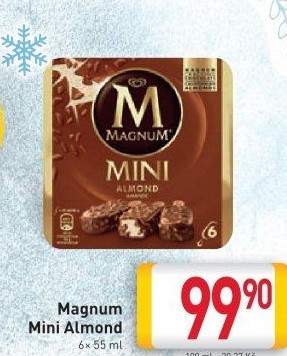 Nanuk Magnum Mini Algida