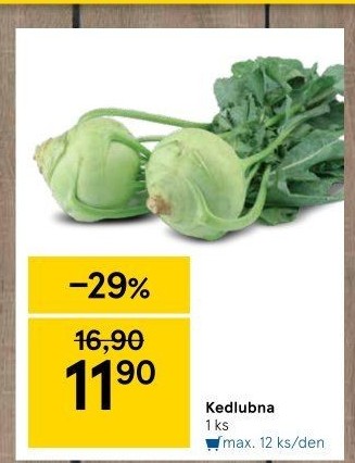 Kedlubna bílá