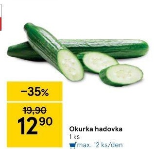 Okurka hadovka