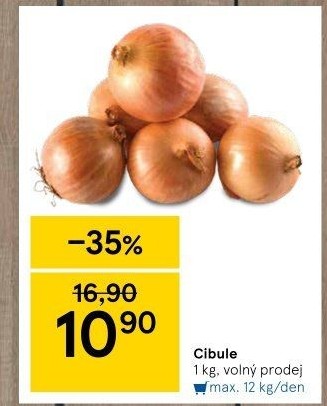 Cibule kuchyňská žlutá
