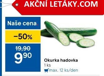 Okurka hadovka