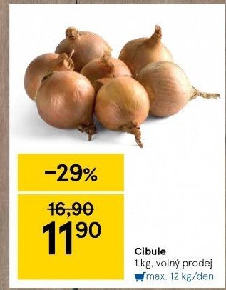 Cibule kuchyňská žlutá