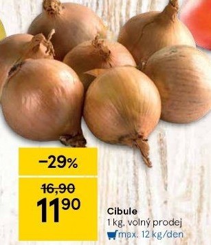 Cibule kuchyňská žlutá