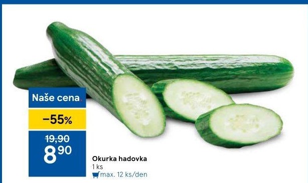Okurka hadovka