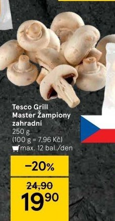 Žampiony Grill Master Tesco