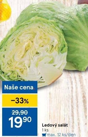 Salát ledový