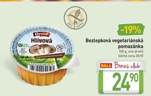 Vegetariánská pomazánka Druid