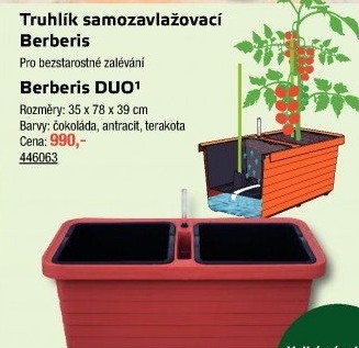 Samozavlažovací truhlík Berberies Plastia