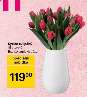 Řezané tulipány