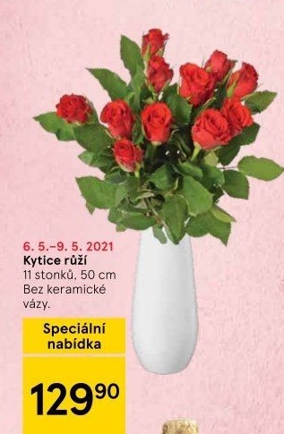 Řezané růže