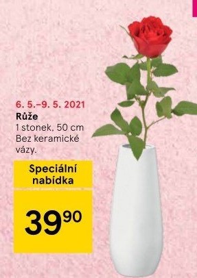 Řezané růže