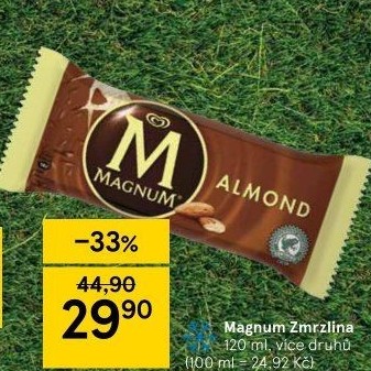 Nanuk Magnum Algida