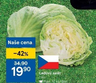 Salát ledový
