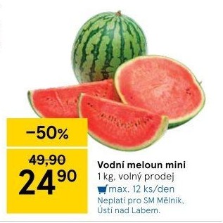 Meloun vodní Baby
