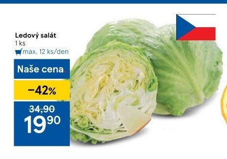 Salát ledový