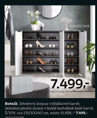 BOTNÍK