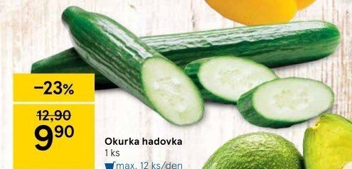 Okurka hadovka