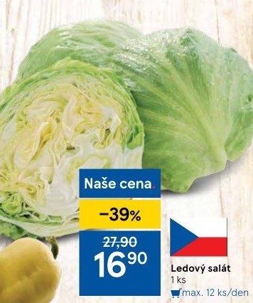 Salát ledový