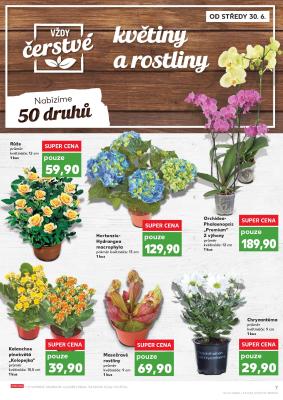 akční leták Kaufland 30.6.2021-6.7.2021
