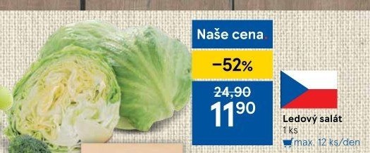 Salát ledový